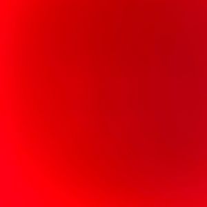 Meet your Posher, Liza